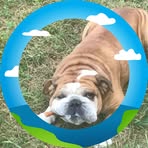 Janet Egolf - Facebook