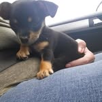 Janet Eileen Mcclean - @janet.mcclean.585 - Instagram