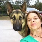 Janet E. Elders - @janetelders - Instagram