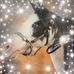 Janet Elder - Facebook