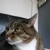 janetelder73 - @janetelder73 - TikTok