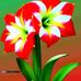 Janet Eli - Facebook