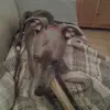 Janet Ellery - @janet.ellery - TikTok