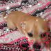 Janet Emrich - Facebook