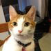 Janet Emrich Gadsby - Facebook