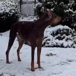 Janet Emery - @janetemery9885 - Instagram