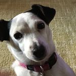 Janet emery - @janlou6593 - Instagram