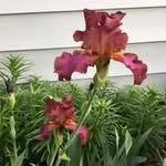 Janet Emery - @janet_emery49 - Instagram