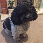 Janet Emery - @janet.emery.71653 - Instagram