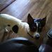Janet Emery - Facebook