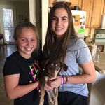 Janet Forman-Emery - @formanemery - Instagram