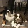 janetemerybutler - @janetemerybutler - TikTok