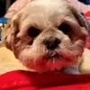 Janet Everson - @janet.everson5 - TikTok