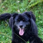 Jane Exley - @jane_exley - Instagram