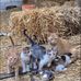 Janet Fallon - Facebook