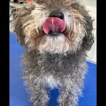 Janet Feeney - @feeney.janet - Instagram
