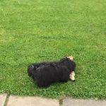 Janet Ferguson - @janetferguson2564 - Instagram