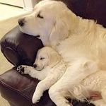 Janet Ferguson - @janet.ferguson.790 - Instagram