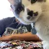 Janet Ferguson - @janetferguson17 - TikTok