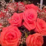 Janet Fleming Fine - @janetfine72 - Instagram