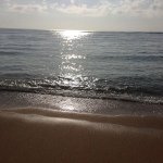 Janet Fitzpatrick - @jmf59 - Instagram