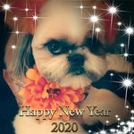 Janet Fitzpatrick - @janetfitpatrick30 - Instagram