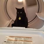 Janet Flack - @janetflack - Instagram