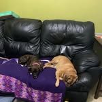 Janet Flack - @flack297 - Instagram