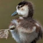 Janet Flannery - @janet.flannery.98 - Instagram