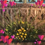 Janet Florence - @janflo12 - Instagram