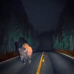 Janet Fogleman - @janet.fogleman.nprnu - Instagram