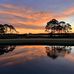 Janet Foreman - Facebook