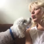 Janet Cieplinski Forman - @jforman77 - Instagram