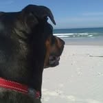 Janet Fortmuller - @janetfortmuller - Instagram