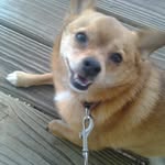 Janet Fortson - @janetfortson2024 - Instagram