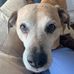 Janet English Fraley - Facebook