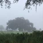 Janet Fraley - @essentialswithjanet - Instagram