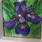 Janet Fraley Simek - @simekjanet - Instagram