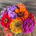 Janet Fredericks - Facebook