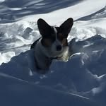 @janetfreese - Instagram