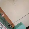 Janet Friedrich - @janet.friedrich - TikTok