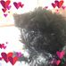 Janette Gaddes - Facebook