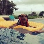 Janet Galbraith - @cj.winny - Instagram