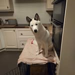 Janet Galbraith - @janetgalbraith20 - Instagram