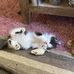 Janet Gale - Facebook