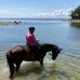 Janet Gale - Facebook