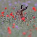 Janet Gardiner - @jan.gardiner255 - Instagram