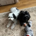 Janet Gardiner - @gardiner_janet - Instagram