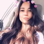 janet gary - @i.amgarypets - Instagram