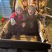 Janet Gass - Facebook